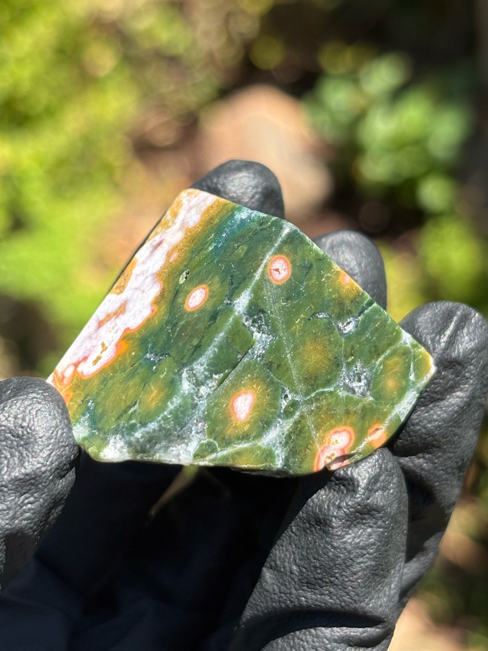 Ocean Jasper Crystal Freeform - Polished Sea Jasper - Orbicular Jasper
